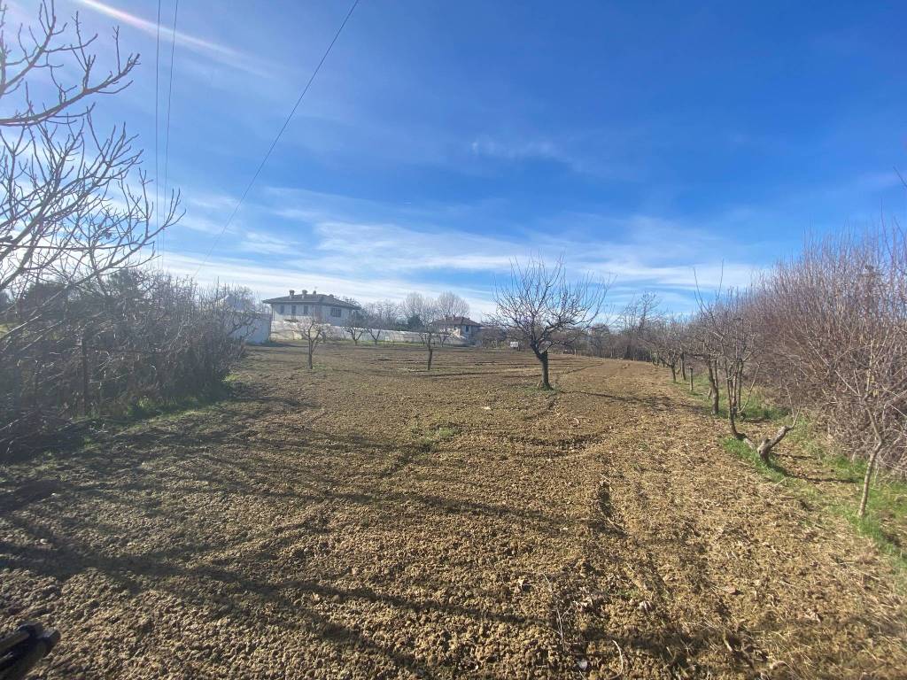 TERRENO AGRICOLO DI 2000MQ FRAZIONE SAN BERNARDO