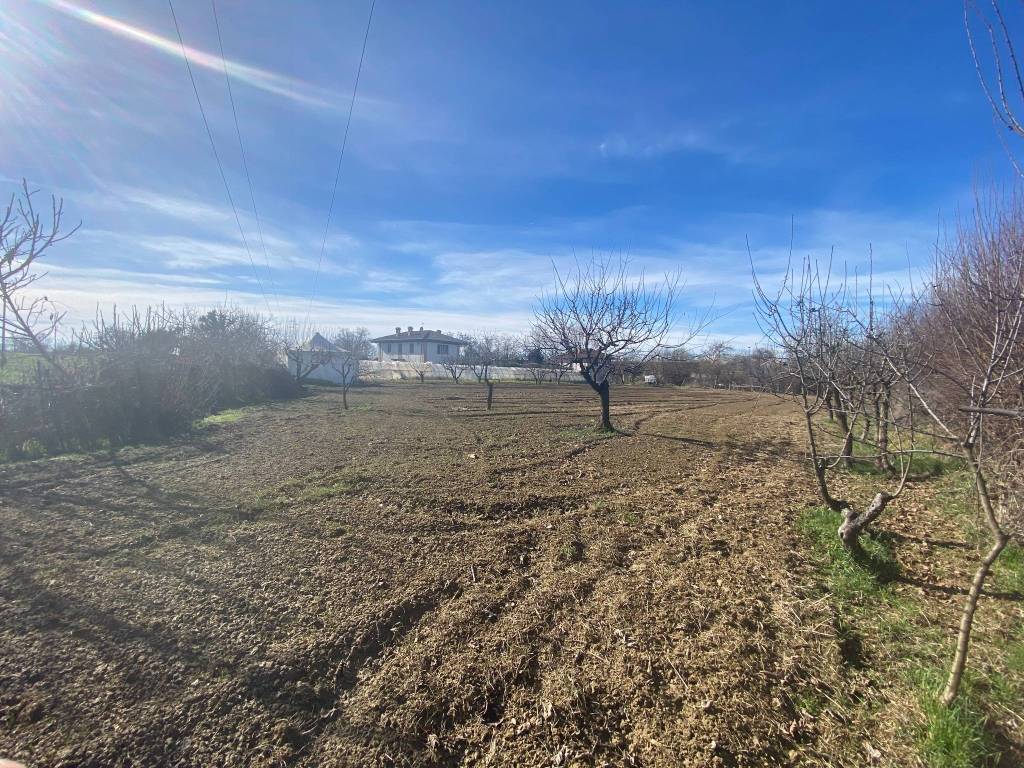 TERRENO AGRICOLO DI 2000MQ FRAZIONE SAN BERNARDO
